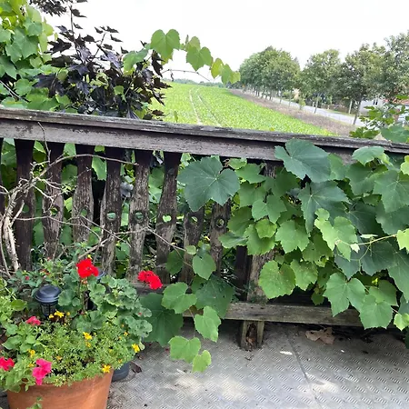 Apartament Mit Sonnenterrasse, Monteursunterkunft, Gaestewohnung Klipphausen