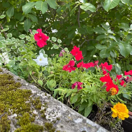 Apartmán Mit Sonnenterrasse, Monteursunterkunft, Gaestewohnung *