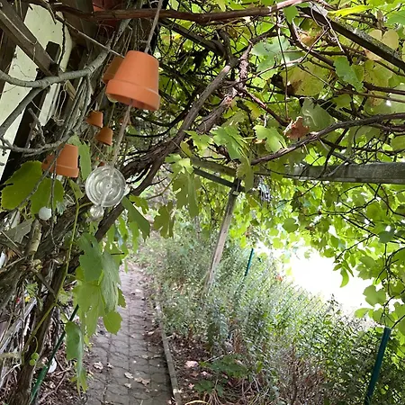 Mit Sonnenterrasse, Monteursunterkunft, Gaestewohnung Apartmán *