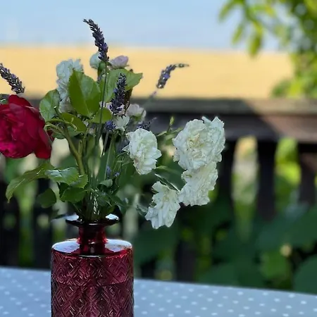 Mit Sonnenterrasse, Monteursunterkunft, Gaestewohnung Διαμέρισμα *