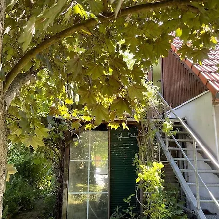 Mit Sonnenterrasse, Monteursunterkunft, Gaestewohnung