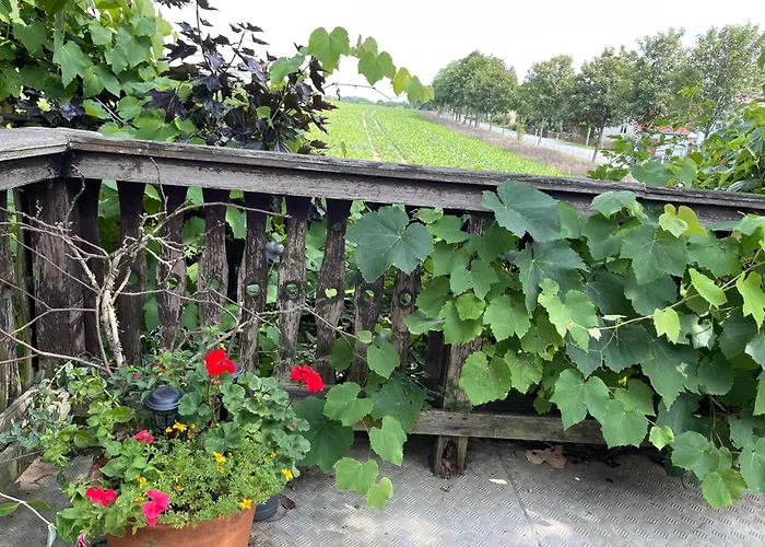 شقة Mit Sonnenterrasse, Monteursunterkunft, Gaestewohnung Klipphausen