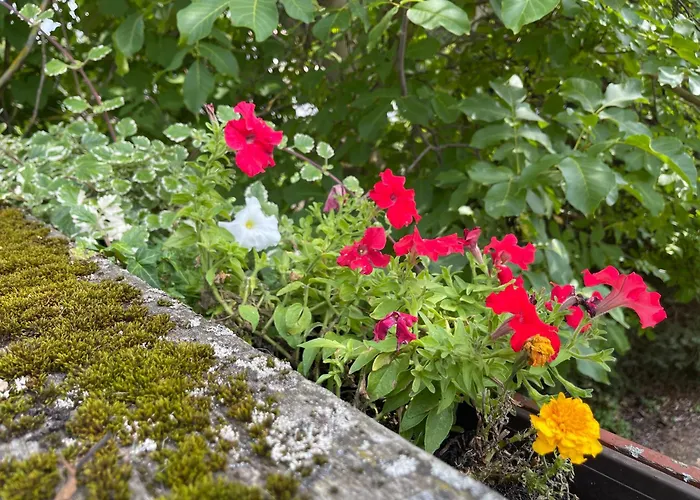 شقة Mit Sonnenterrasse, Monteursunterkunft, Gaestewohnung *