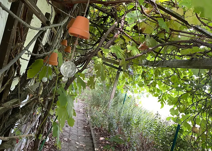 Mit Sonnenterrasse, Monteursunterkunft, Gaestewohnung شقة *