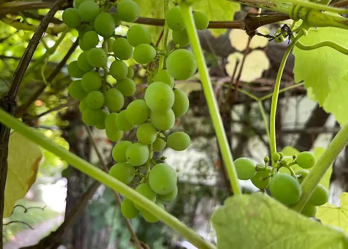 شقة Mit Sonnenterrasse, Monteursunterkunft, Gaestewohnung