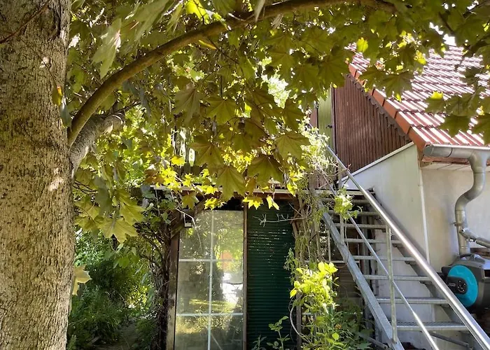 Mit Sonnenterrasse, Monteursunterkunft, Gaestewohnung